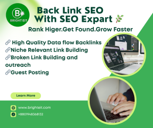 Backlink SEO